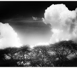 Clouds and Acacias 2018, Archival pigment print